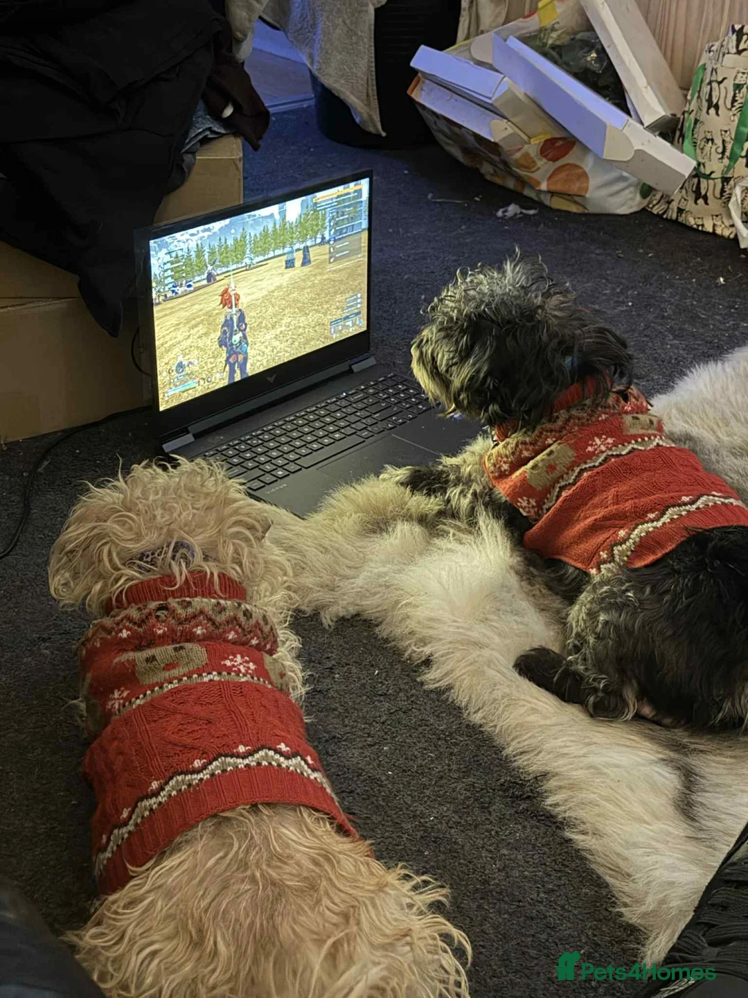 Gallery Image {{count}}