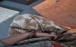 Corn Snake reptiles for sale: Corn snake for rehoming- 6 years old - Image 4