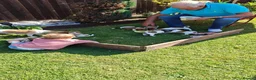 Jack Russell dogs for sale: Jack Russell 4 Sale - Advert 8