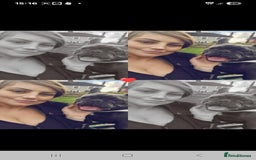 French Bulldog dogs for sale: Frenchie  - Image 3