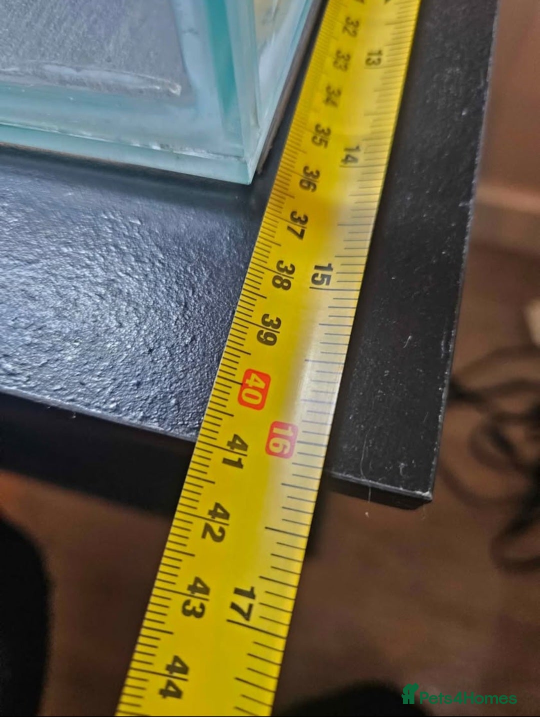 Goldfish fish for sale: 100L Fish Tank & Stand - Advert 6