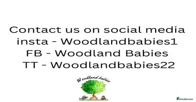 Hamster rodents Syrian Hamster Baby Babies Girls Boys Pedigree  - Advert 3