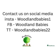 Hamster rodents Syrian Hamster Baby Babies Girls Boys Pedigree - Advert 5