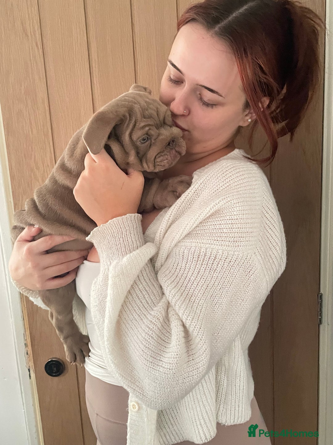 English Bulldog dogs for sale: World class English bulldogs / reduced  - Image 16