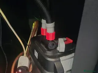 Cichlids fish Fish tank and fish - Advert 1