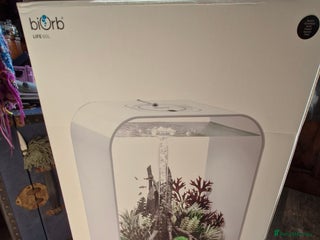 Other/Mixed Breed fish - Advert 32