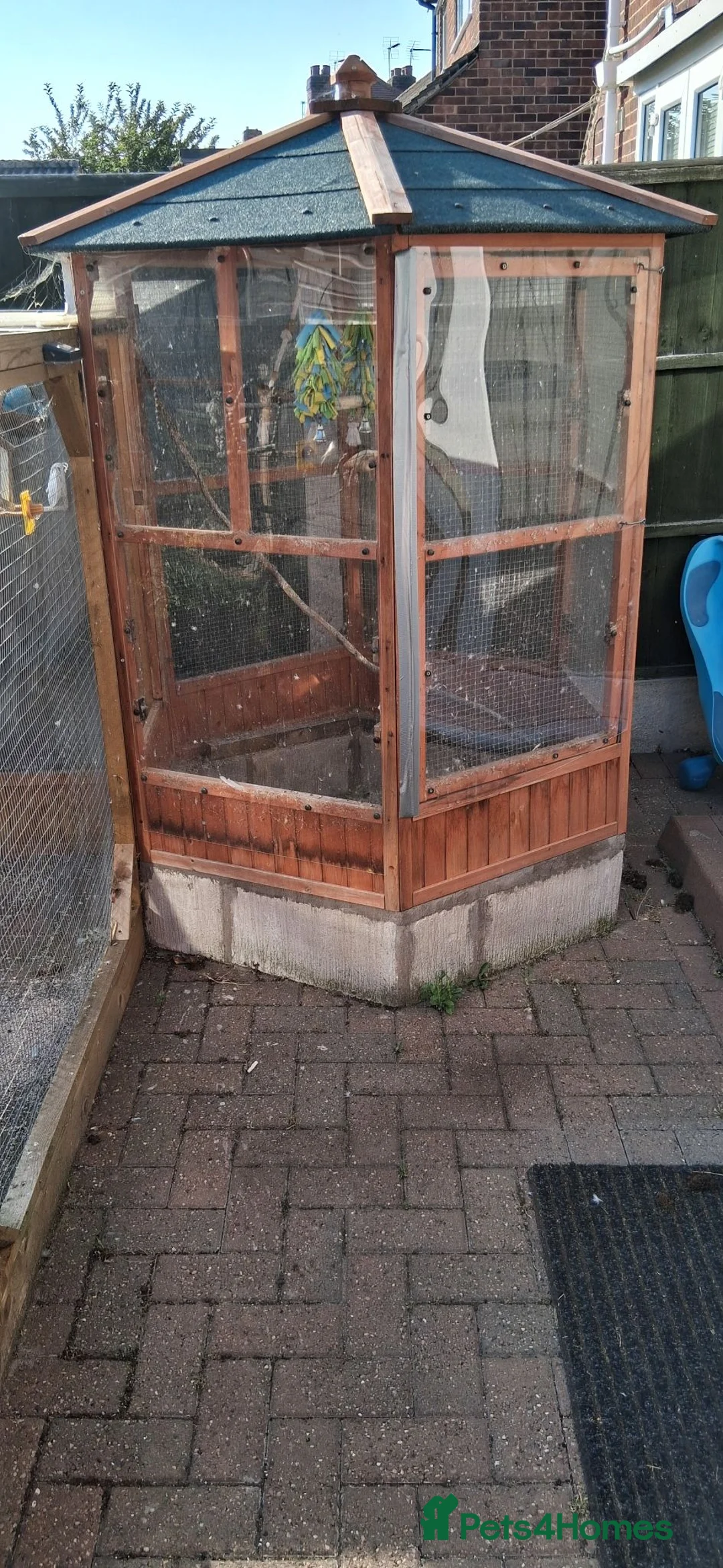 Budgerigars birds for sale: Budgie /small bird aviary - Advert 1