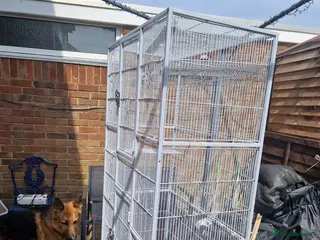 Mixed Breed birds Cages only - Advert 1