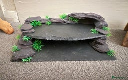 Mixed Breed reptiles for sale: Medium vivexotic vivarium & equipment. - Image 11