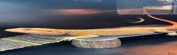 Bearded Dragon reptiles for sale: Bearded Dragon + full setup up in Leeds - Advert 1