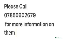 Cockapoo dogs for sale: 🔥Stunning F1 Cockapoo Puppies🔥 - Advert 7