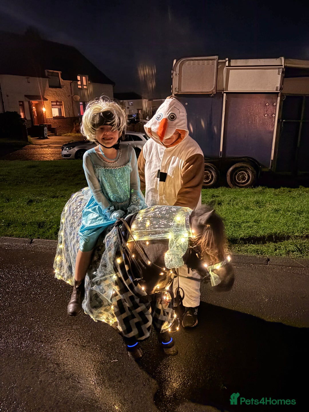 Shetland pony horses for sale: Mothers Dream first pony  - Advert 7