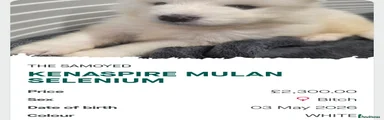 Mulan Selenium 