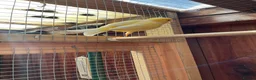 Canaries birds for sale: Cock Fife Canary in Northwich - Advert 2