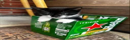 Mixed Breed cats for sale: Mixed breed black and white kittens - Advert 21