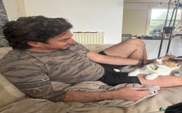 Ragdoll cats for sale: Beautiful Ragdoll Kittens  - Advert 12