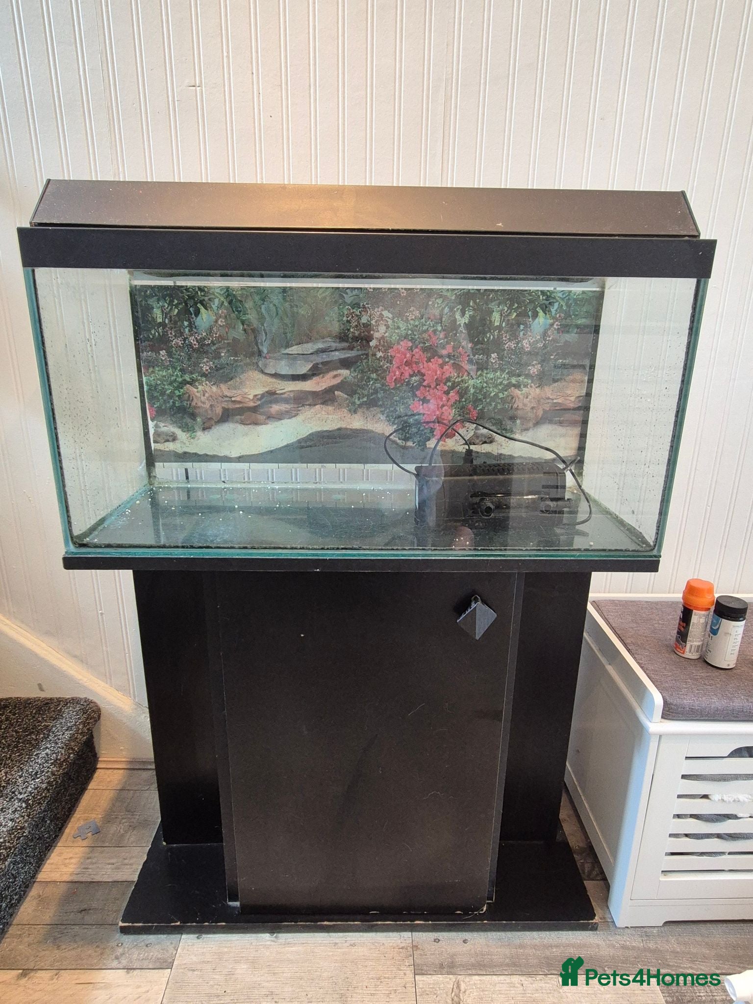 Goldfish fish Large fishtank for sale - Advert 1
