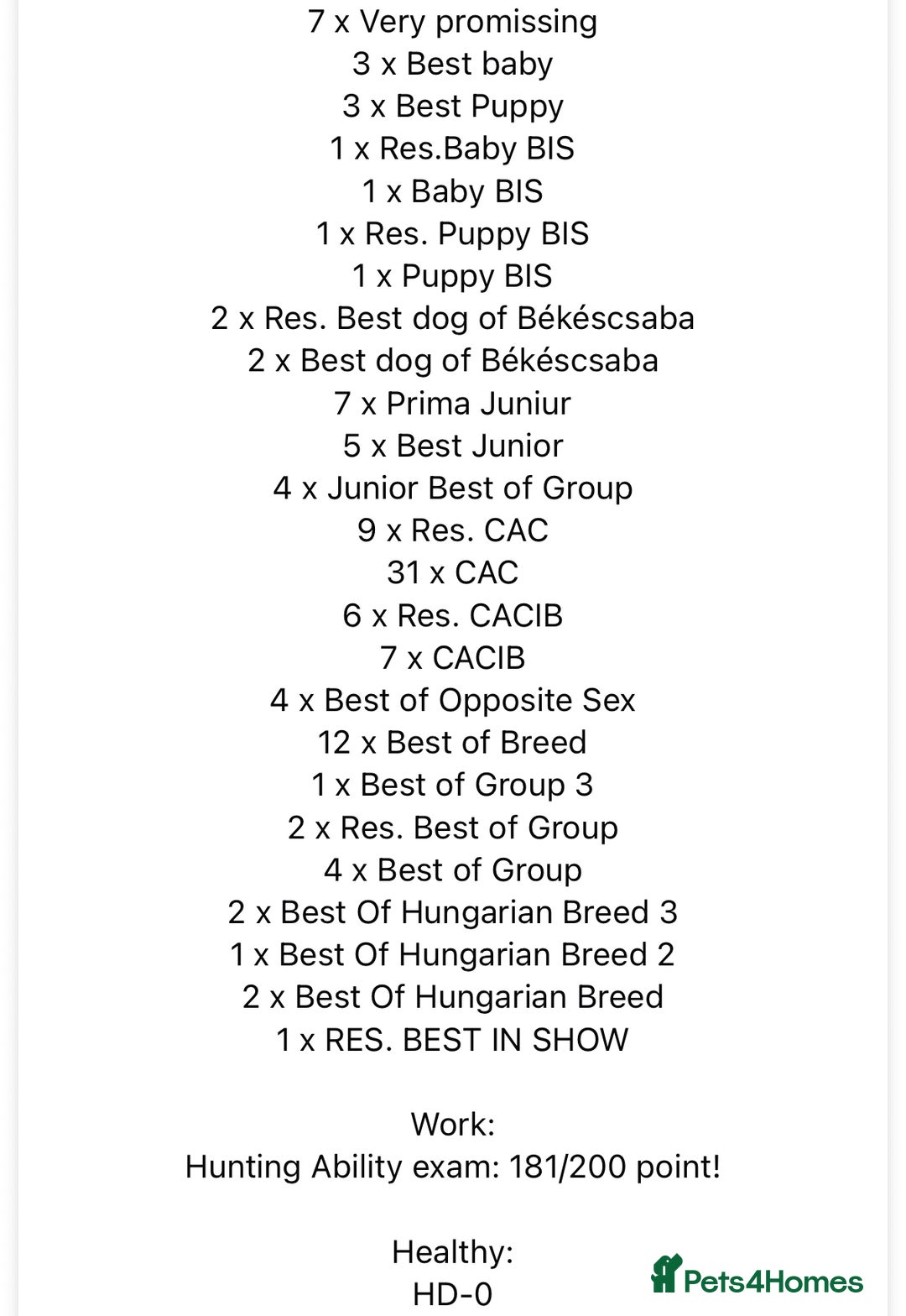 Hungarian Vizsla dogs for sale: Gamekeeper bred KC registered Crufts progeny - Image 30