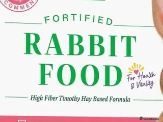 Netherland Dwarf rabbits URGENT NEED RABBIT FOOD!!! - Advert 2