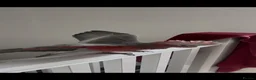 Cockatoo birds for sale: Baby Galah Cockatoo male parrot looking for home in London - Advert 5