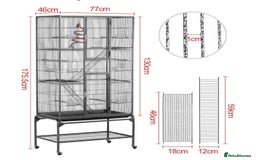 Budgerigars birds for sale: Budgies and cage all together - Image 13
