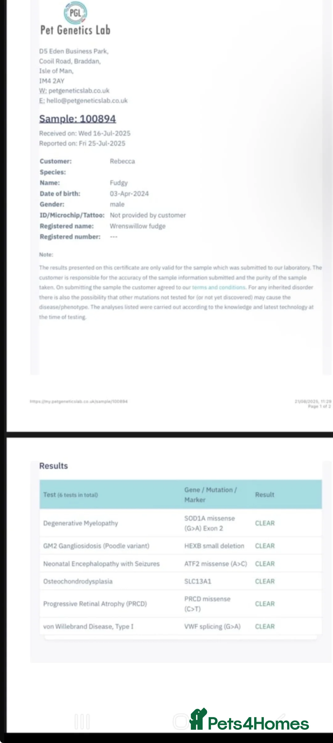 Cockapoo dogs for sale: WAITING LIST FOR COCKERPOO - Advert 4