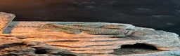 Lizard reptiles for sale: Breeding pair of Collared Lizards in Coalville - Advert 5
