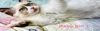 Baby girl 1