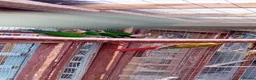 Conures birds for sale: Blackhead green cheek conures - Advert 1