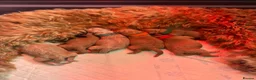 Australian Labradoodle dogs for sale: ⭐WALA Australian Labradoodles 2 pupps remaining ⭐ - Advert 3