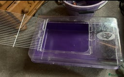 Hamster rodents for sale: Full hamster/mouse cage and setup  - Image 2