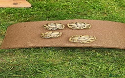 Hermann Tortoise reptiles for sale: 5 Spur Thighed Tortoises  - Image 4