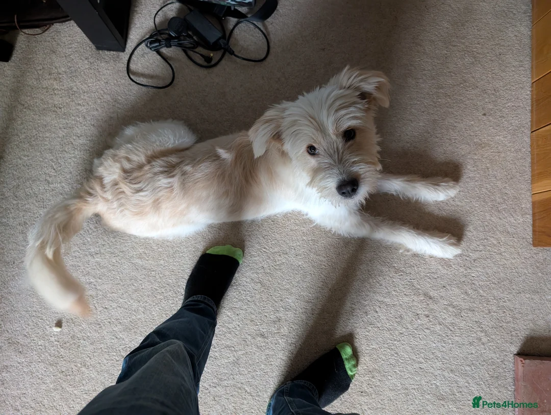 Gallery Image {{count}}