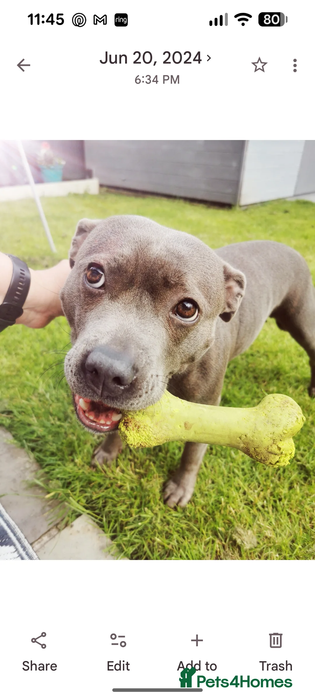 Gallery Image {{count}}