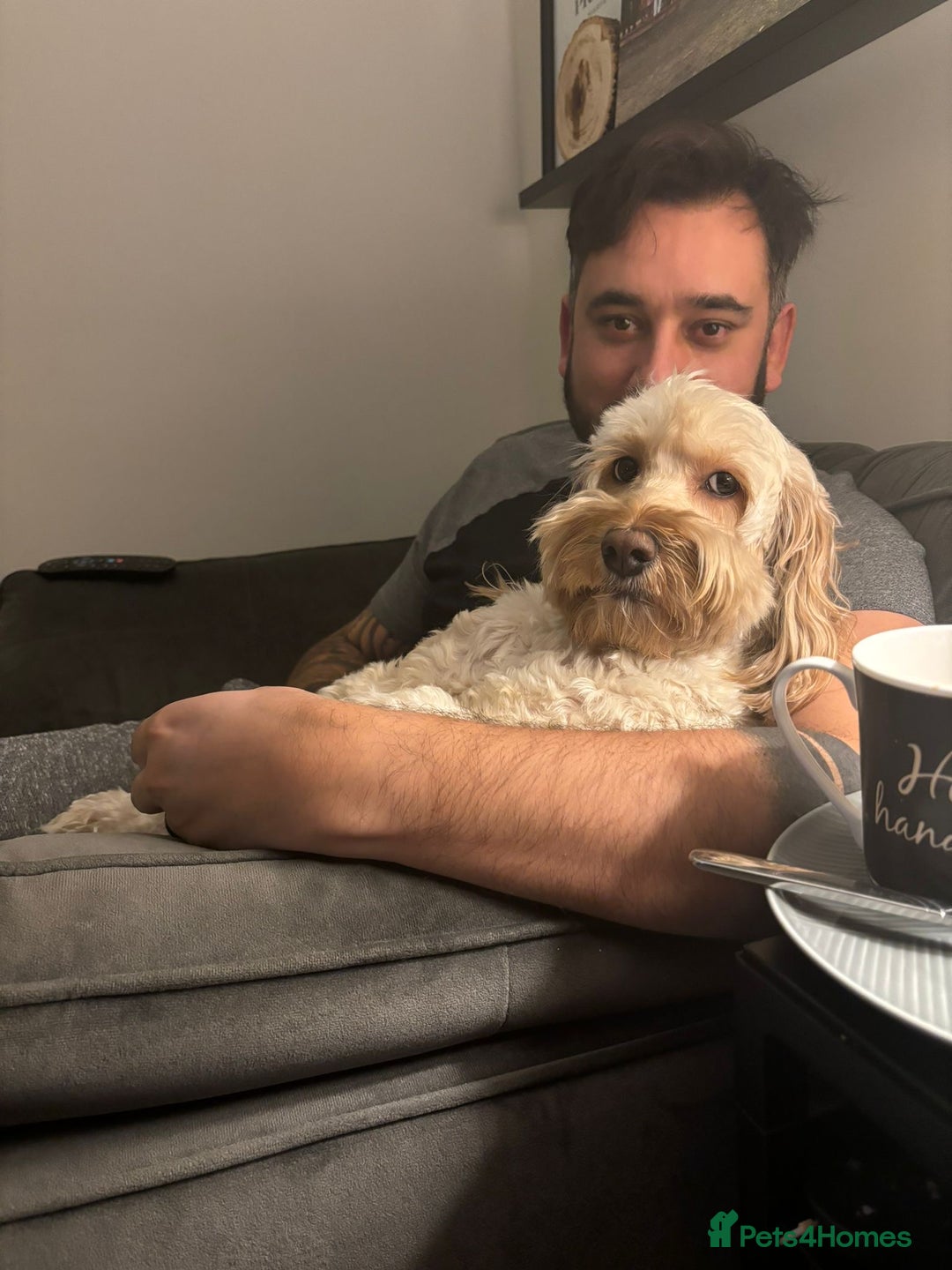 Gallery Image {{count}}