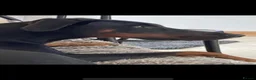 Dobermann dogs for sale: KC Reg Doberman - Health tested parents - Advert 7