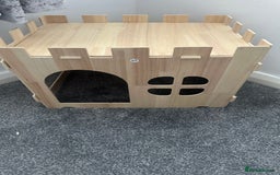 Mini Lop rabbits for sale: Mini lop rabbit - Image 7