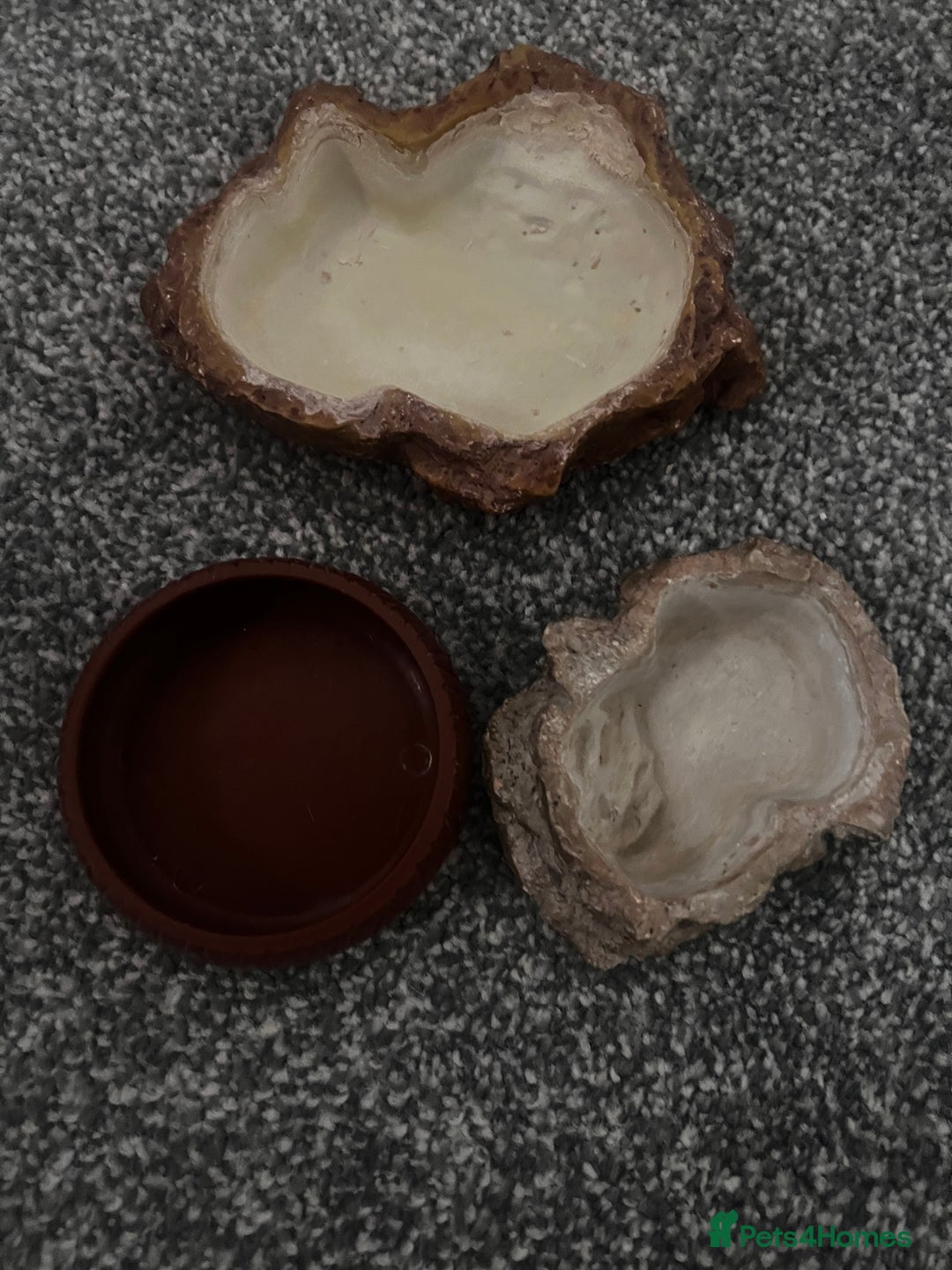 Leopard Gecko reptiles for sale: Exo Terra Terrarium - Full Leopard Gecko Setup - Advert 13