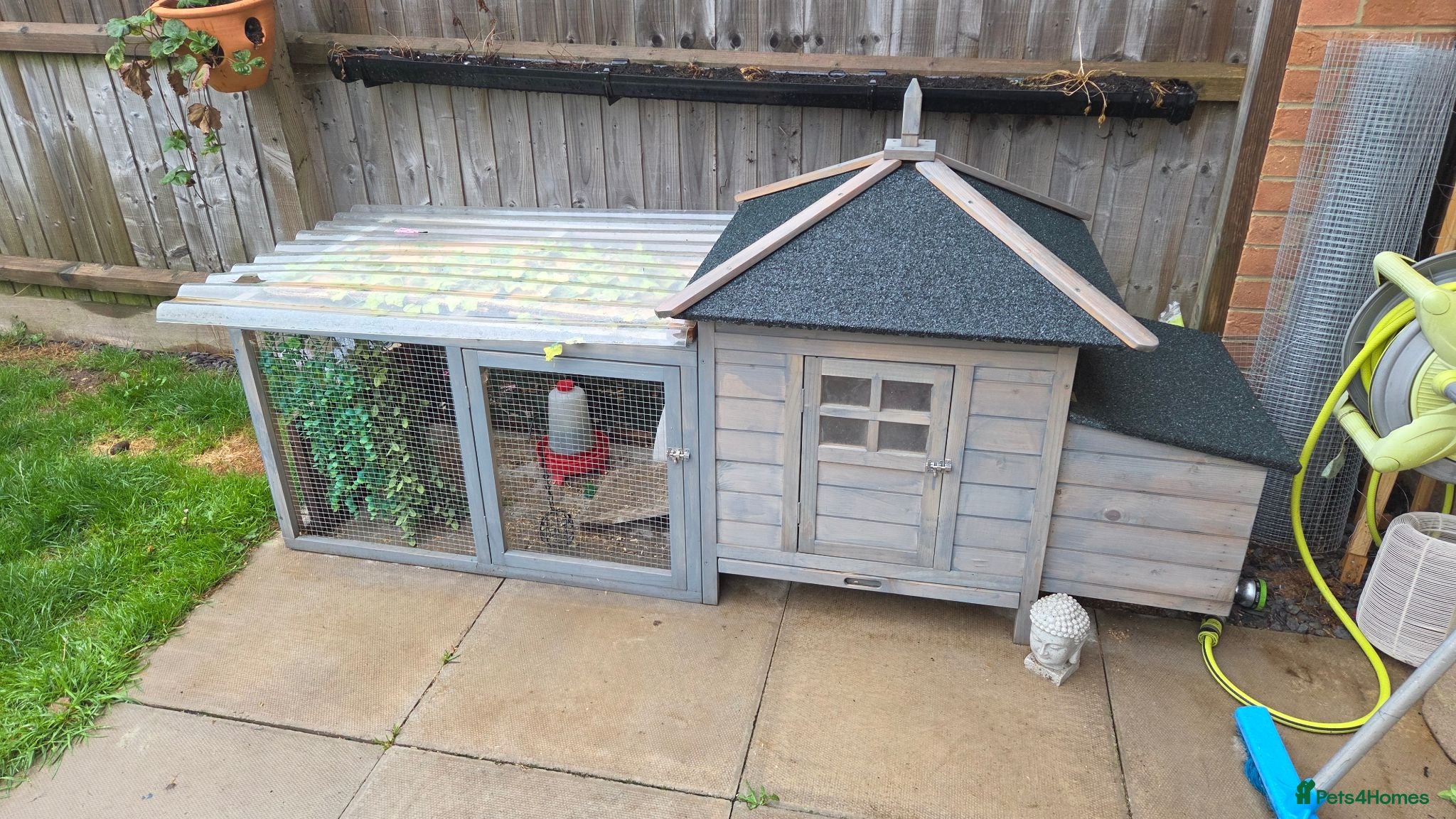 Quail poultry 4 female and 1 male quail house cage full set up - Advert 16