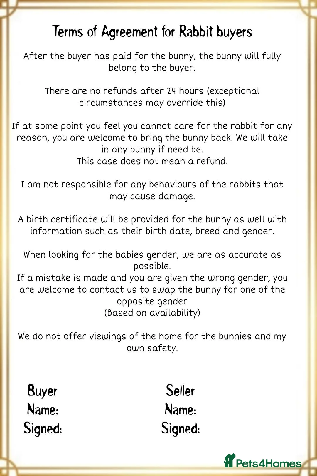 Lionhead rabbits for sale: Pure double lionheads READY NOW  - Advert 7