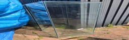 Frog reptiles for sale: Frogs and toads for sale in set ups - Advert 12