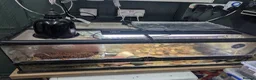 Frog reptiles for sale: Giant African bullfrog with enclosure/setup  in Swadlincote - Advert 3