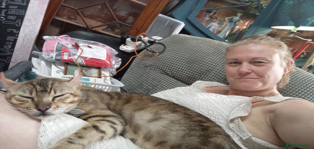 Gallery Image {{count}}