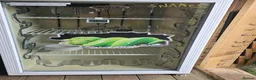Corn Snake reptiles for sale: Breeding pair corn snakes & enclosure/incubator  in Saltcoats - Advert 2