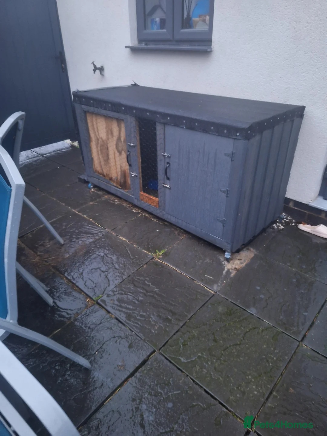 Mixed Breed rabbits for sale: New Zealand cross Californian rabbits Colony - Advert 22