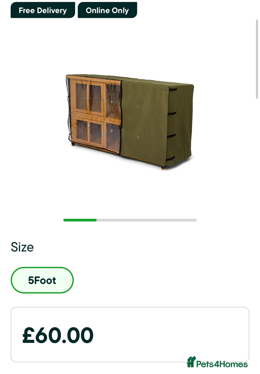 Lionhead rabbits for sale: Lion head rabbit and hutch - Advert 4