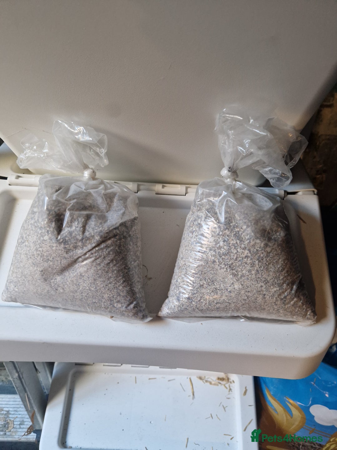 Quail poultry for sale: Ad Edited with more quail- Mealworm farm for quail - Advert 16