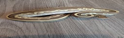 Python Snake reptiles for sale: Royal pythons - Advert 10
