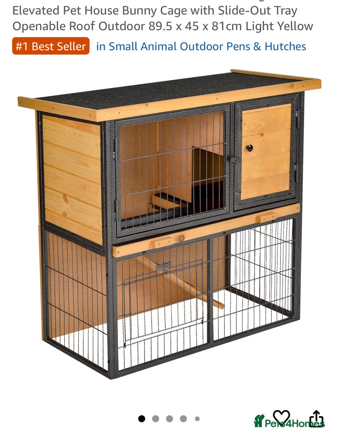 Guinea Pig rodents for sale: 2 female guinea pigs + complete set up! - Advert 9