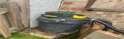 Koi Carp fish for sale: Pond & fish all included  - Advert 5